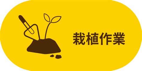 種植樹木|栽植作業(全國種樹諮詢中心)